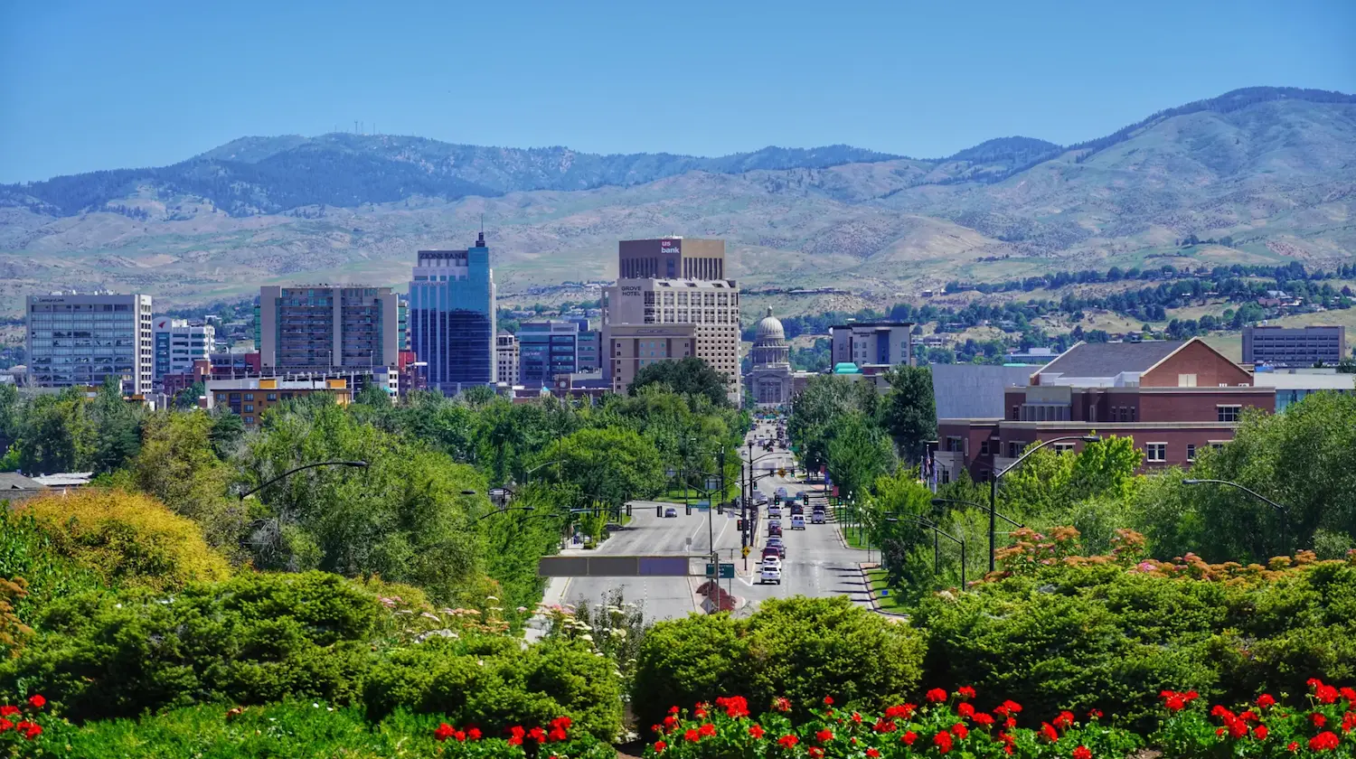 Boise Networks website created by Vachal Design