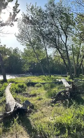 Boise River near Vachal Design