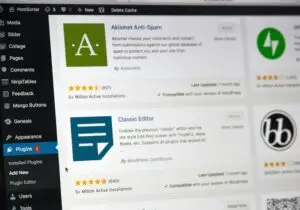 Boise Wordpress Developer at Vachal Design