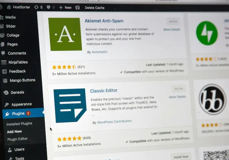 Boise Wordpress Developer